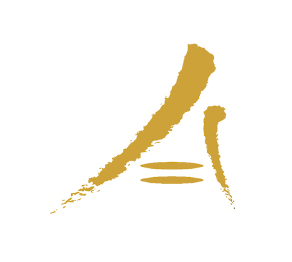 Advancement Project logo
